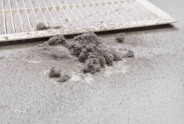 Best HVAC Air Duct Cleaning  in Holly Springs, MS
